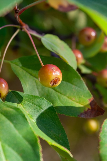 不胜枚举 不胜枚举