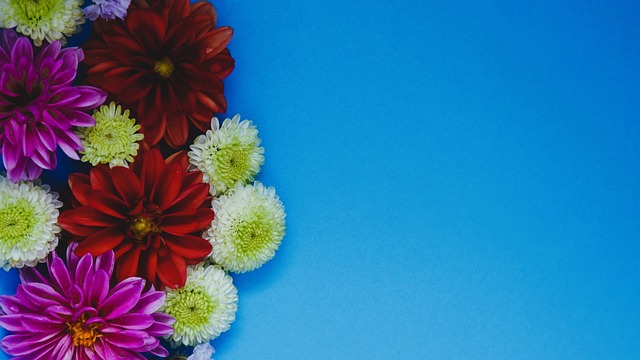 周瀟的选择 周瀟的选择