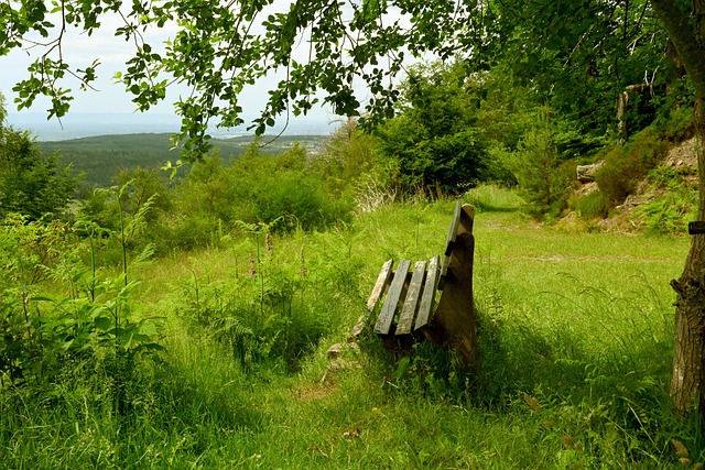 导致士气下 导致士气下