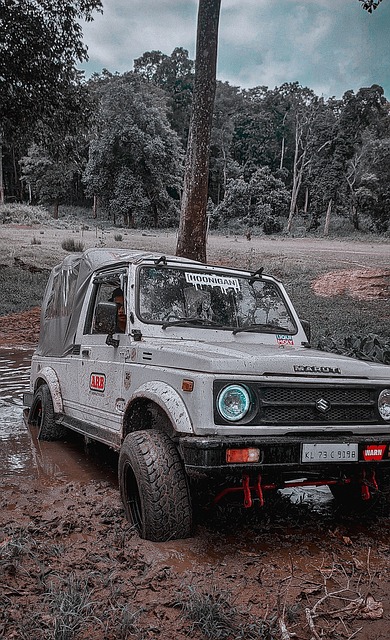 注重长远目 注重长远目