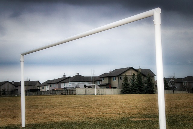 我们可以看 我们可以看