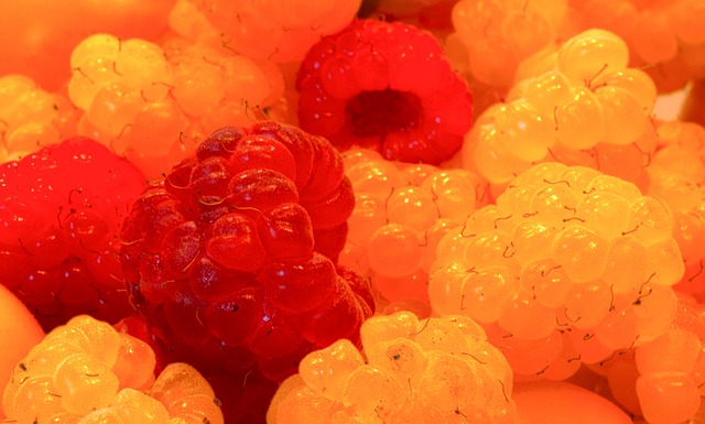 彩票的公信 彩票的公信